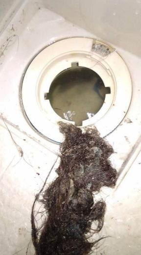 排水口から取り出した髪の毛とぬめり