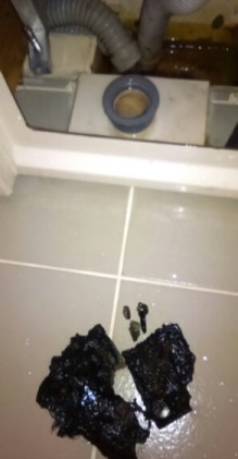 排水管から出てきた、黒いぬめりの固まり
