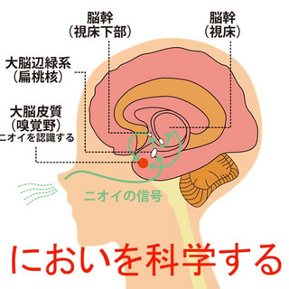 「においを取る」とは？