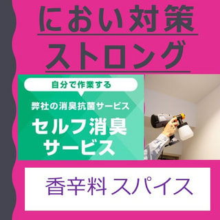 においの悩みを解決！プロ仕様のセルフ消臭セット製品ストロング！香辛料・スパイス臭 対策