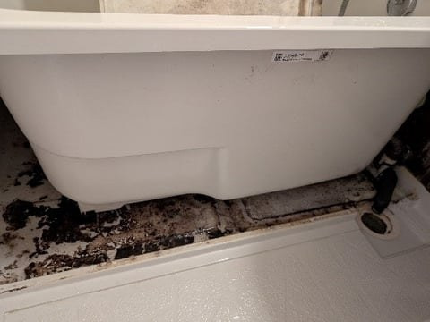 バスタブ下洗浄の作業前：カビと汚れ